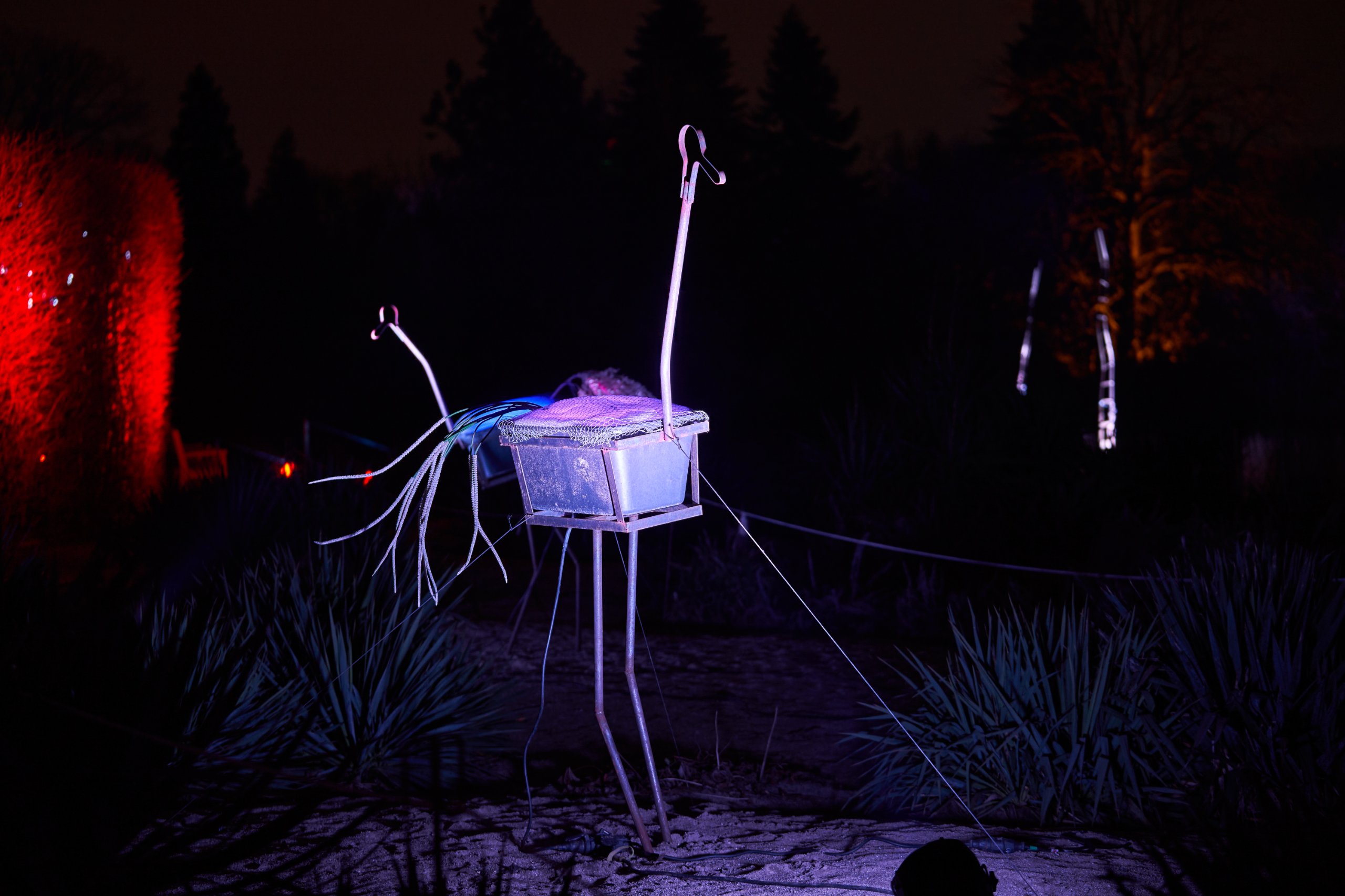 2023 01 24 Parkleuchten 0498